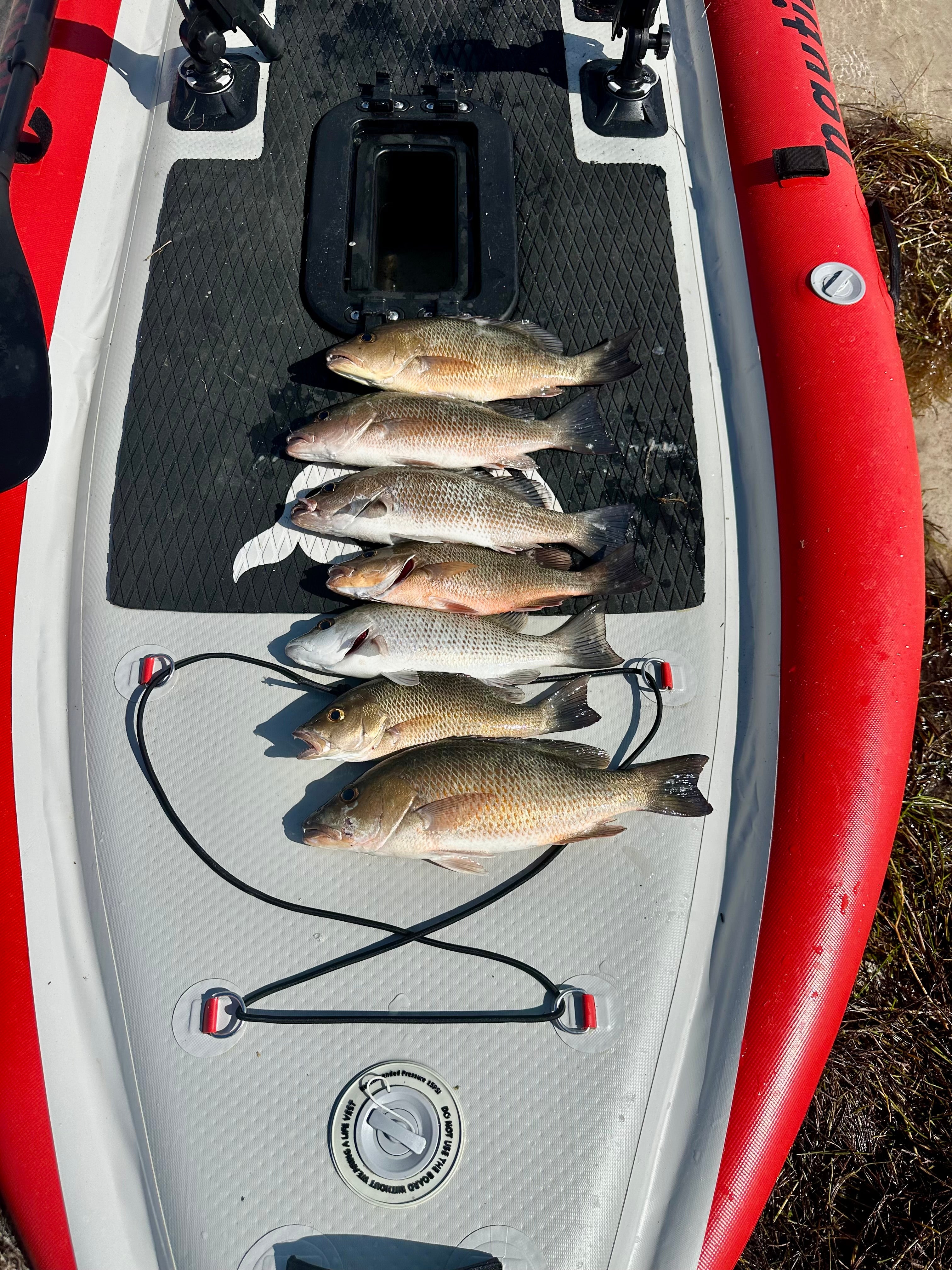 Nautiqua | ARUBA | Deluxe Paddleboard Fishing Pedal Kayak | Red